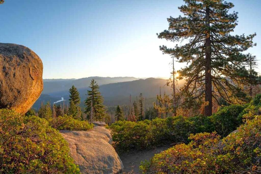 Sequoia Splendor, Inside Kings Canyon Np By Visitors Center Wilsonia Dış mekan fotoğraf