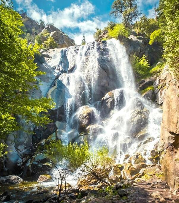 Sequoia Splendor, Inside Kings Canyon Np By Visitors Center Wilsonia Dış mekan fotoğraf