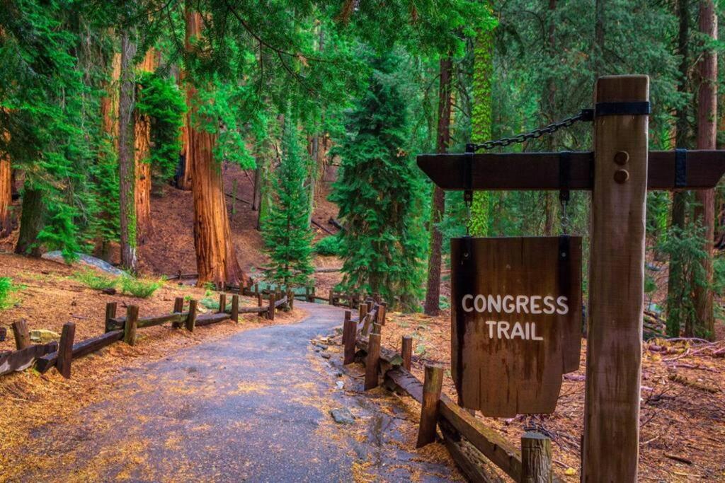 Sequoia Splendor, Inside Kings Canyon Np By Visitors Center Wilsonia Dış mekan fotoğraf