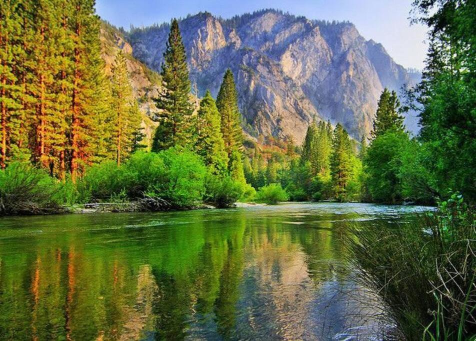 Sequoia Splendor, Inside Kings Canyon Np By Visitors Center Wilsonia Dış mekan fotoğraf