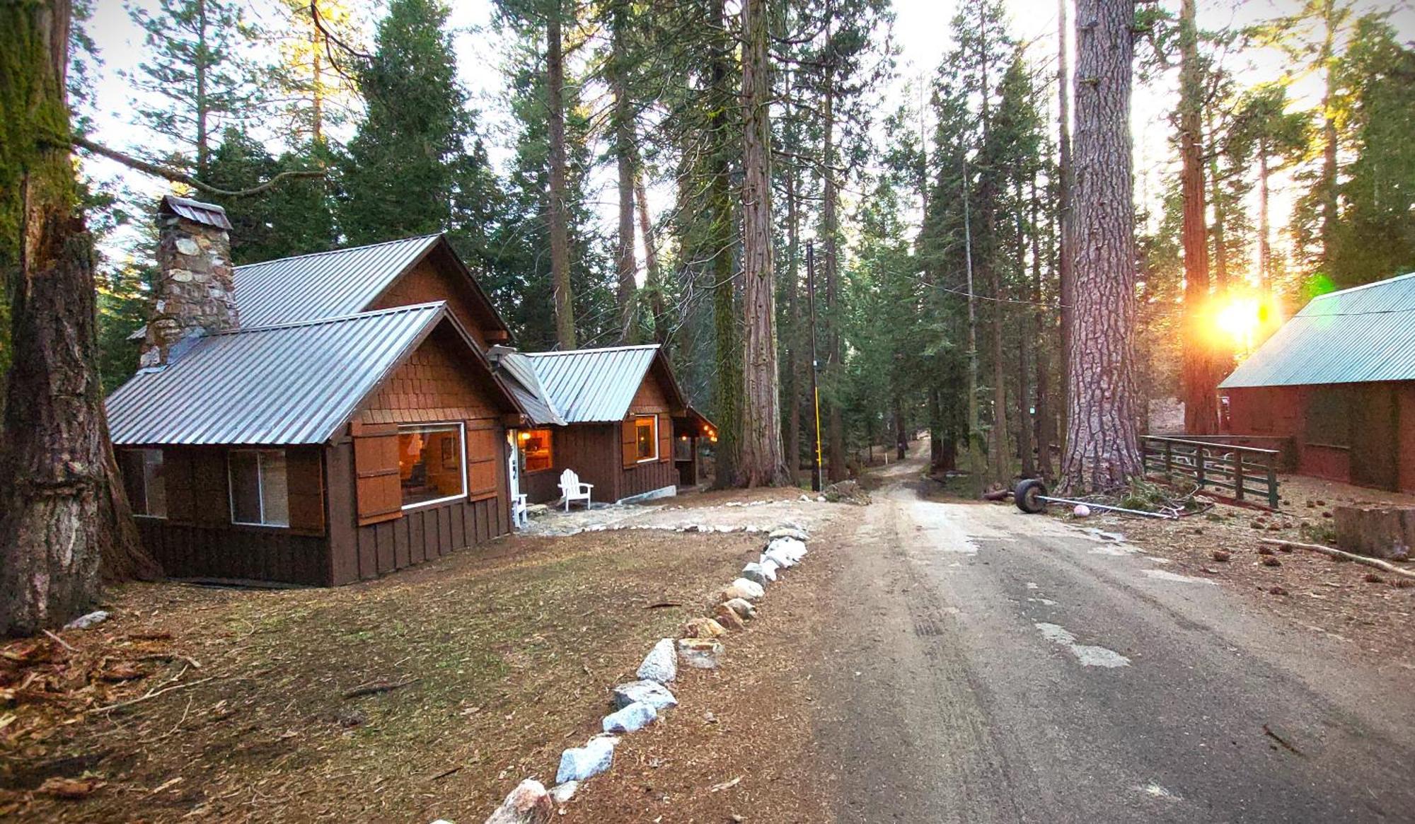 Sequoia Splendor, Inside Kings Canyon Np By Visitors Center Wilsonia Dış mekan fotoğraf