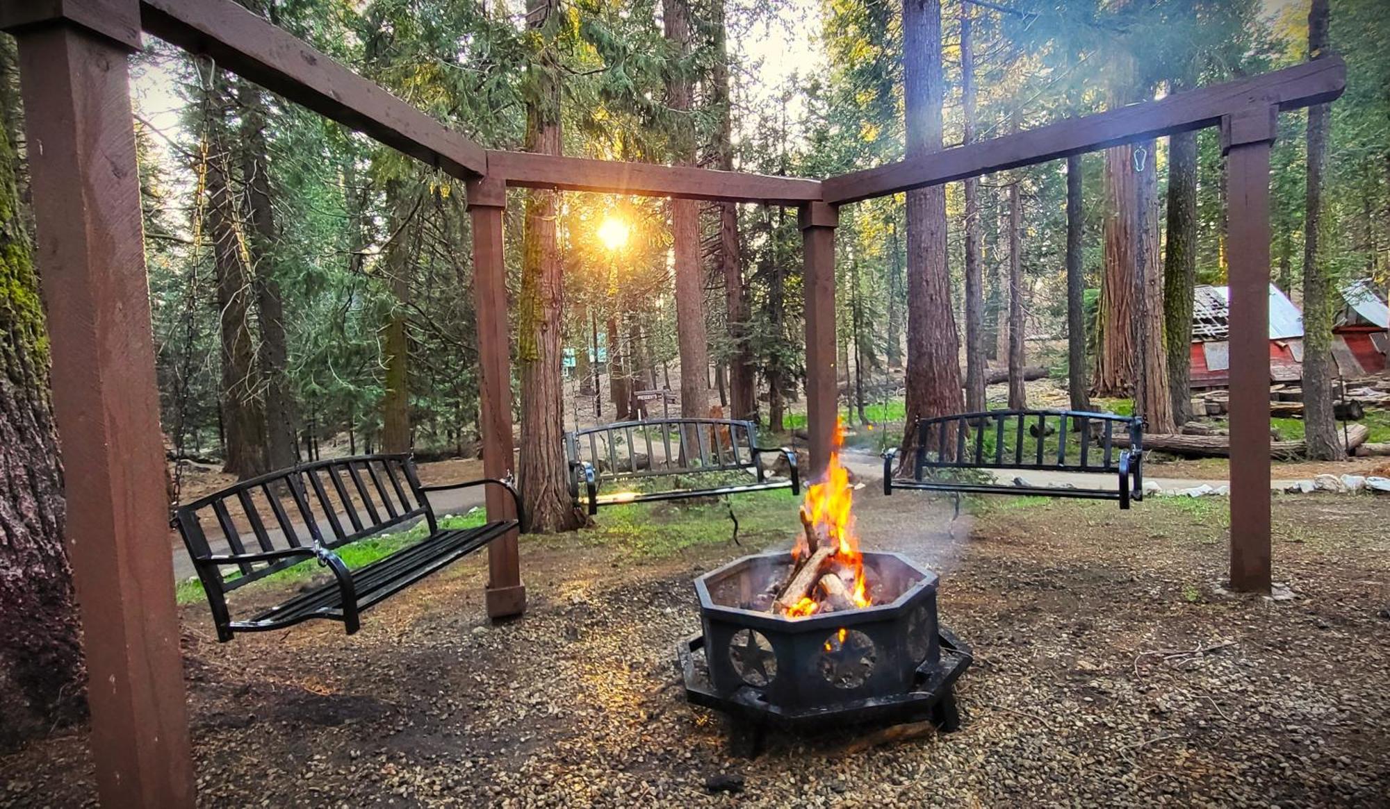 Sequoia Splendor, Inside Kings Canyon Np By Visitors Center Wilsonia Dış mekan fotoğraf